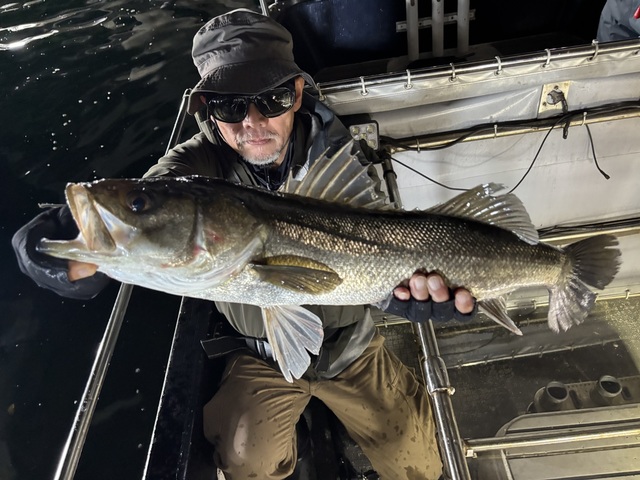 シーバス(スズキ)