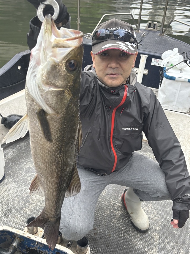 シーバス(スズキ)