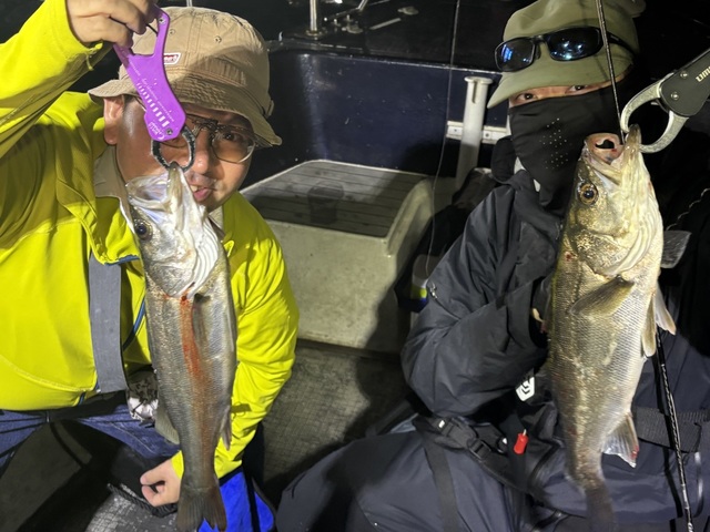 シーバス(スズキ)