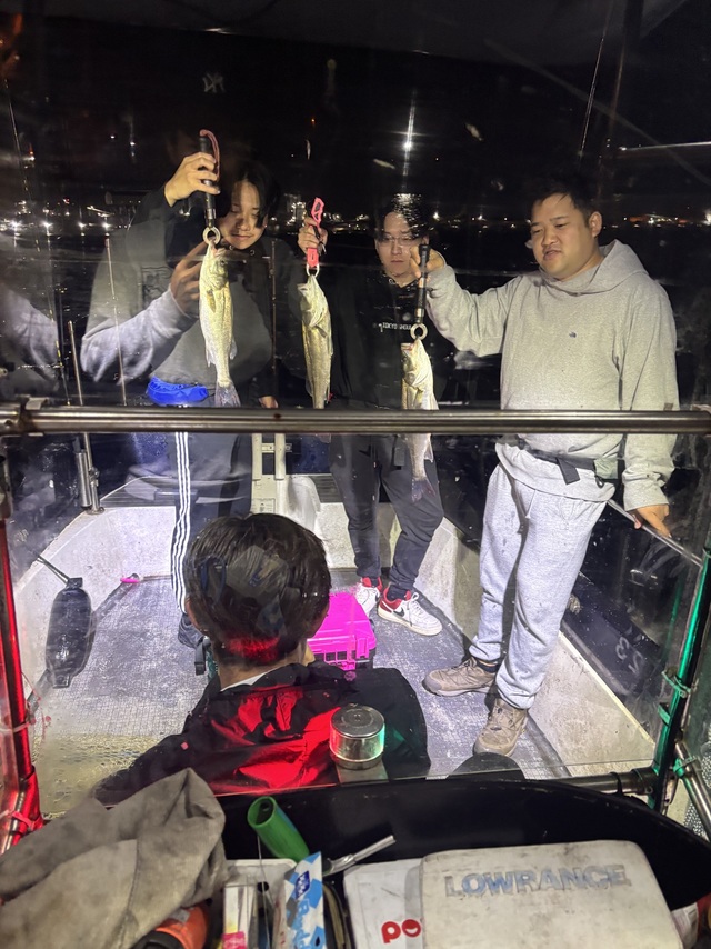 シーバス(スズキ)