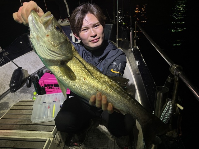 シーバス(スズキ)