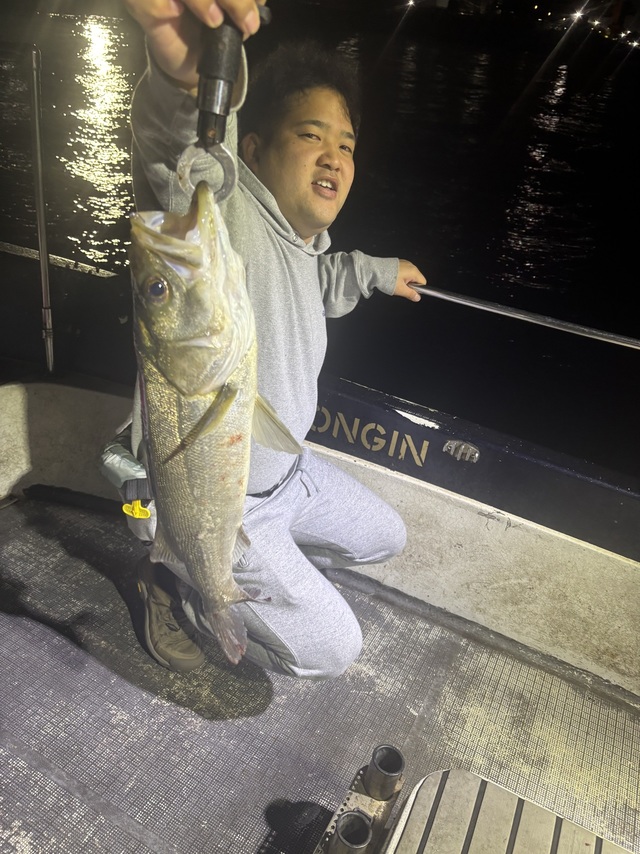 シーバス(スズキ)