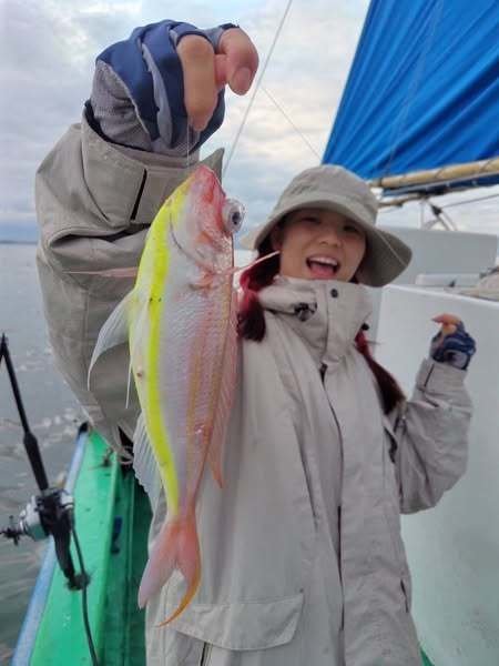 イトヨリ(イトヨリダイ)