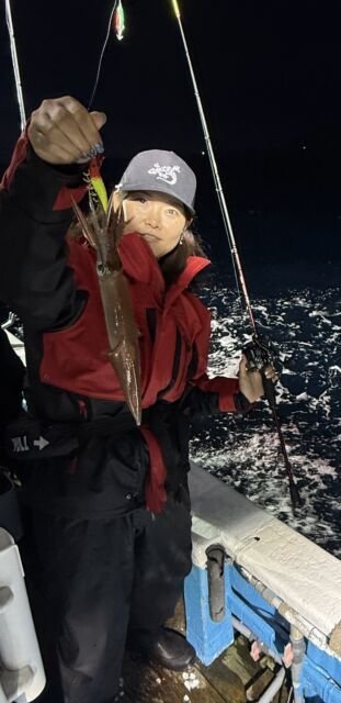 マイカ(ケンサキイカ)