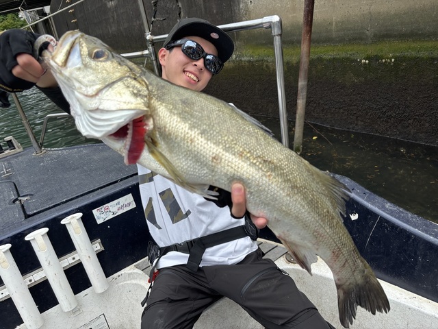 シーバス(スズキ)