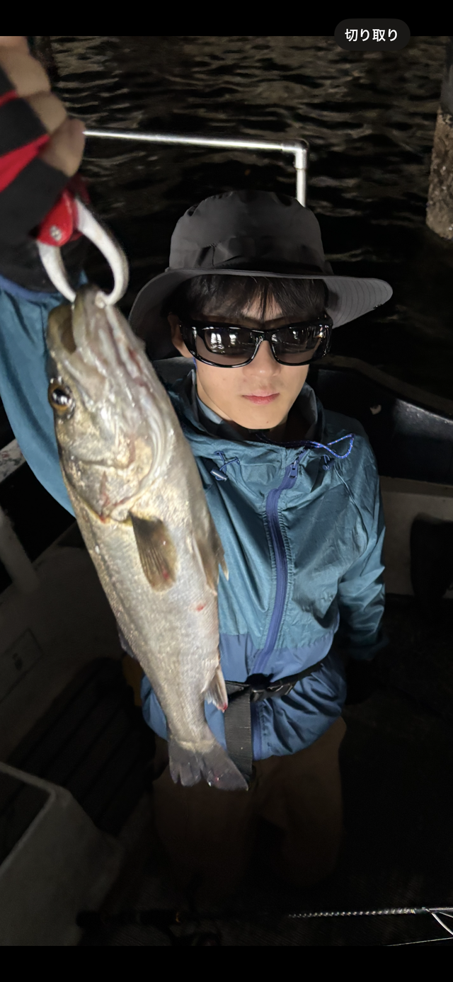 シーバス(スズキ)