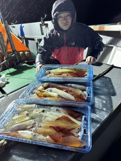 イカ(ヤリイカ)