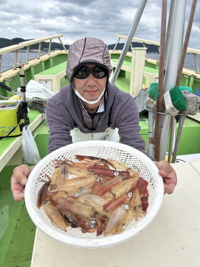 マルイカ(ケンサキイカ)