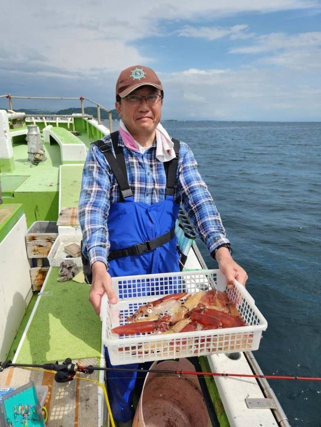 マルイカ(ケンサキイカ)