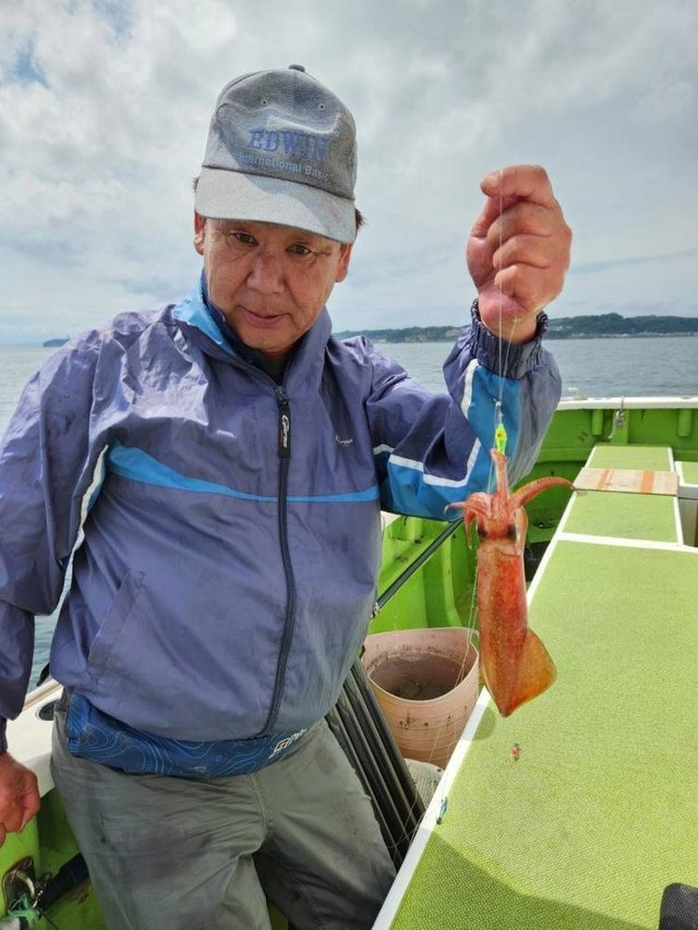 マルイカ(ケンサキイカ)