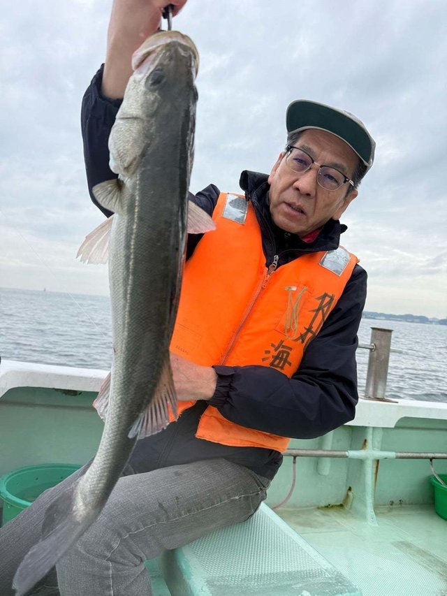 マタカ(スズキ)