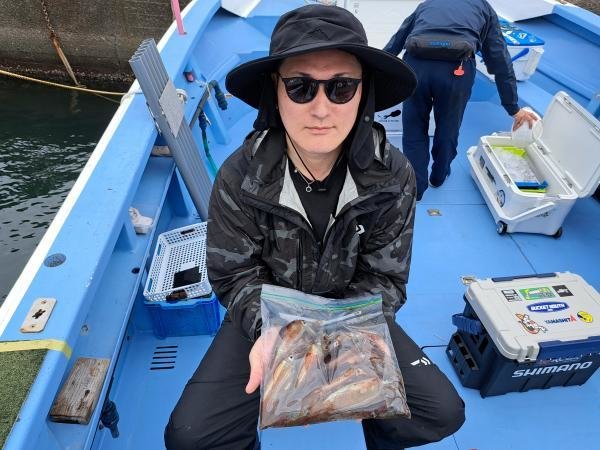 ムギイカ(スルメイカ)