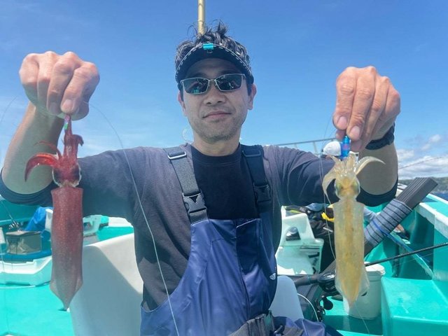 マルイカ(ケンサキイカ)