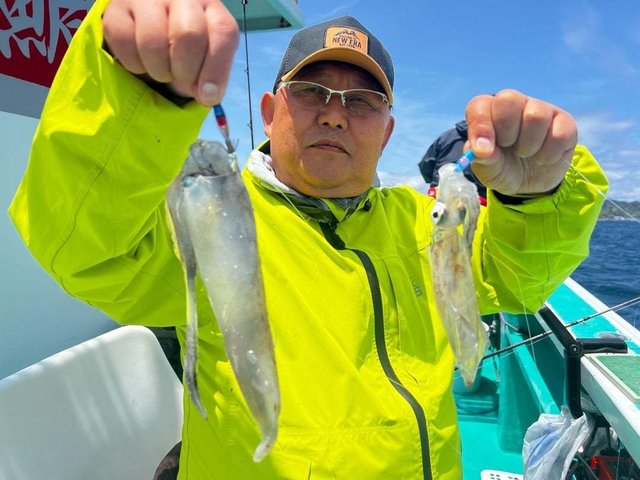 マルイカ(ケンサキイカ)