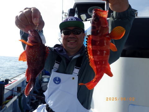 アカハタ・カサゴ