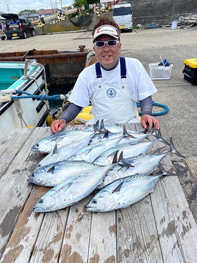 スマガツオ(スマ)