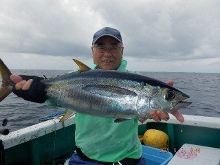 キメジ(キハダ)