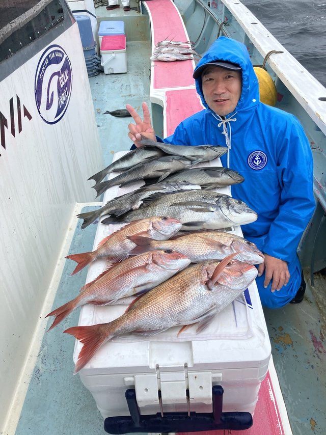 マダイ・クロダイ・メジナ