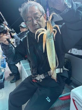 スルメ(スルメイカ)