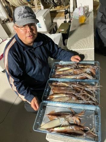 スルメイカ・マイカ(ケンサキイカ)