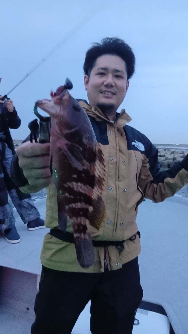 アコウ(キジハタ)