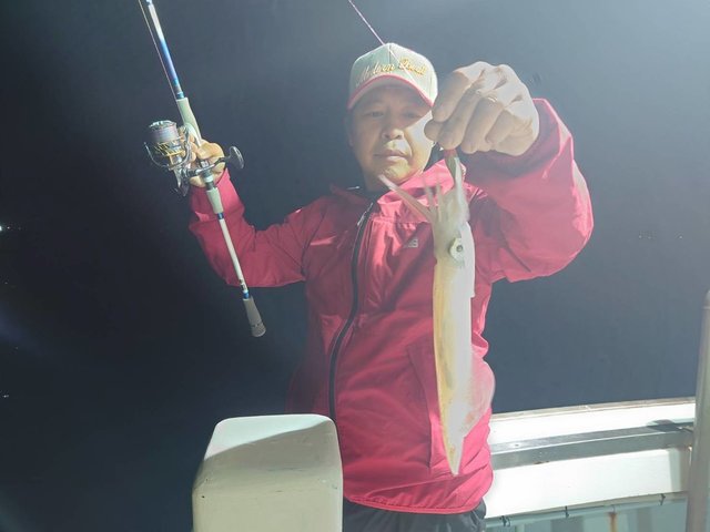 マイカ(ケンサキイカ)