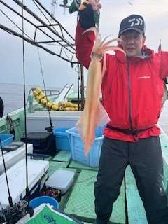 イカ(ヤリイカ)