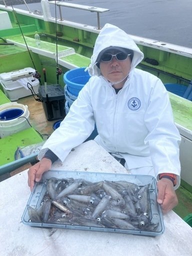 マルイカ(ケンサキイカ)