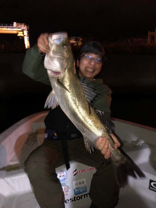 シーバス(スズキ)