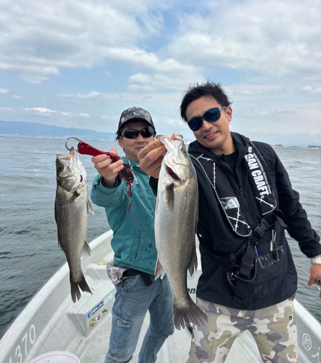 シーバス(スズキ)