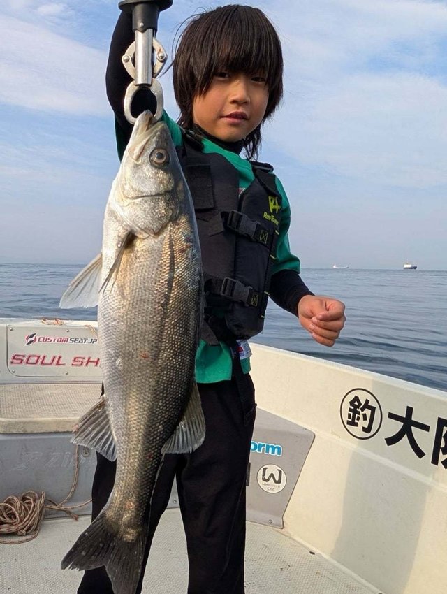 シーバス(スズキ)