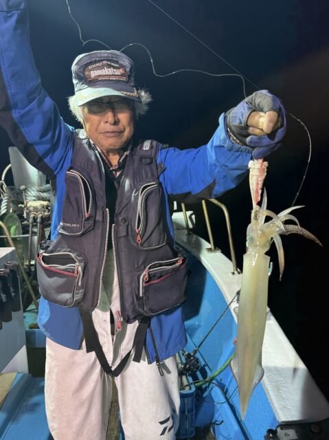 マイカ(ケンサキイカ)