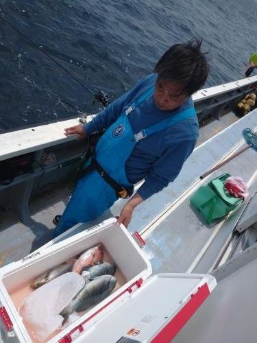 マダイ・メジナ