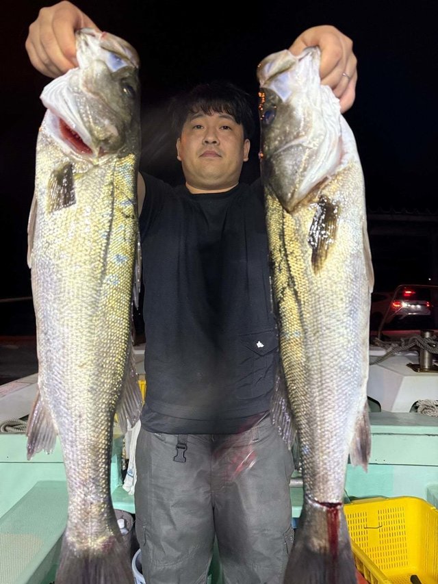 マダカ(スズキ)