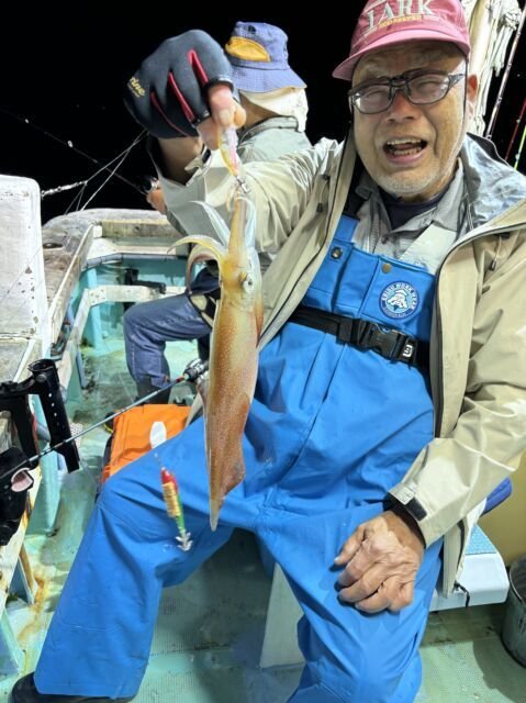 マイカ(ケンサキイカ)