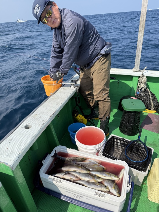 イサギ(イサキ)