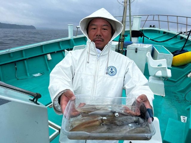 マルイカ(ケンサキイカ)