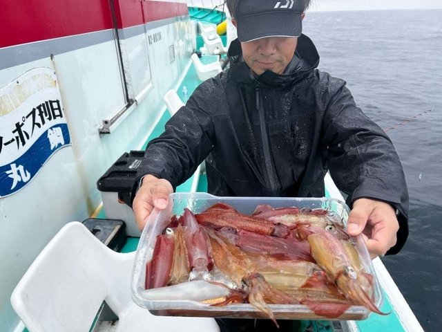 マルイカ(ケンサキイカ)