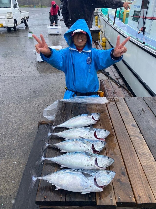 スマガツオ(スマ)