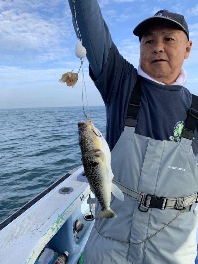 ショウサイフグ