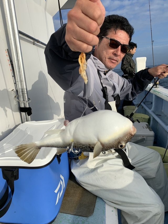 ショウサイフグ