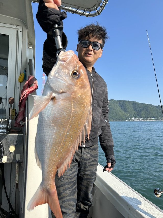 コダイ(マダイ)