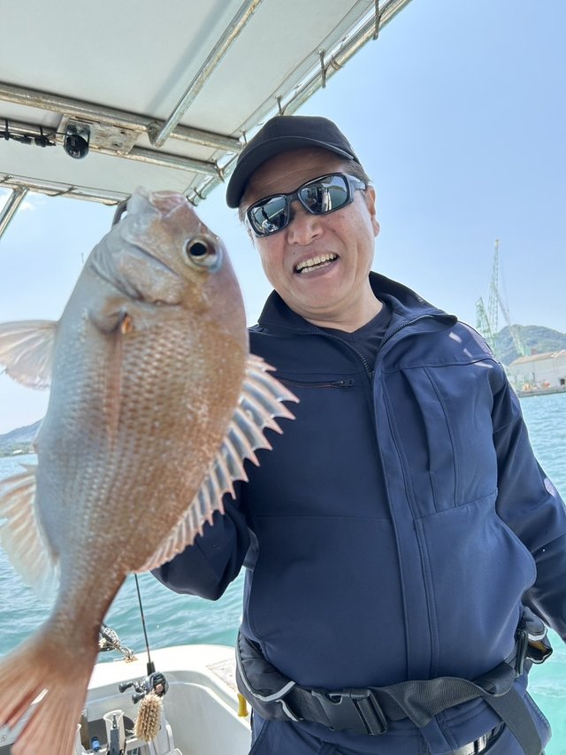 コダイ(マダイ)