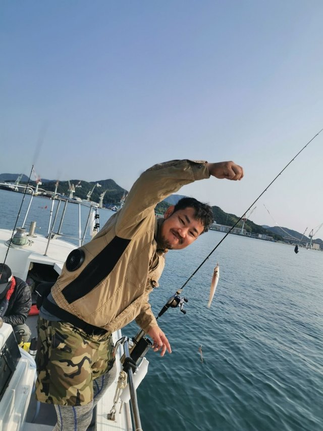 キス(シロギス)