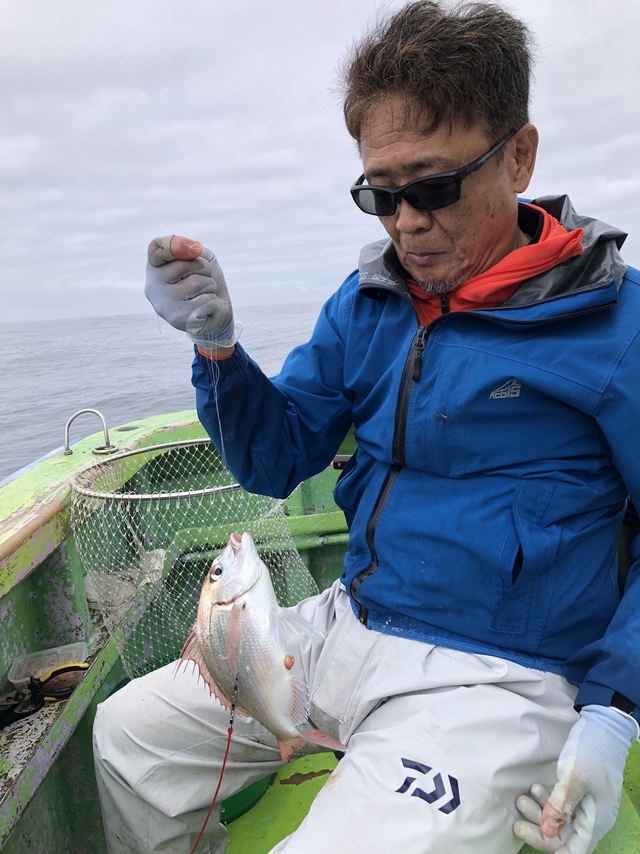 ハナダイ(チダイ)