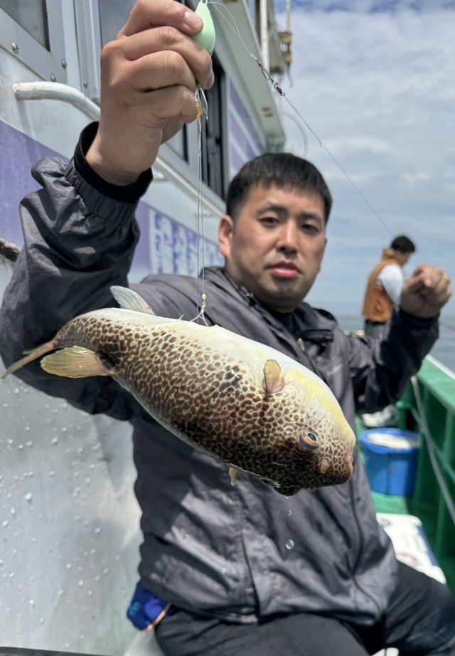 ショウサイフグ