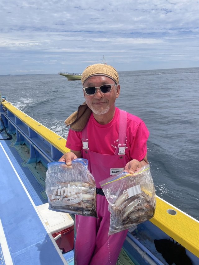 ムギイカ(スルメイカ)