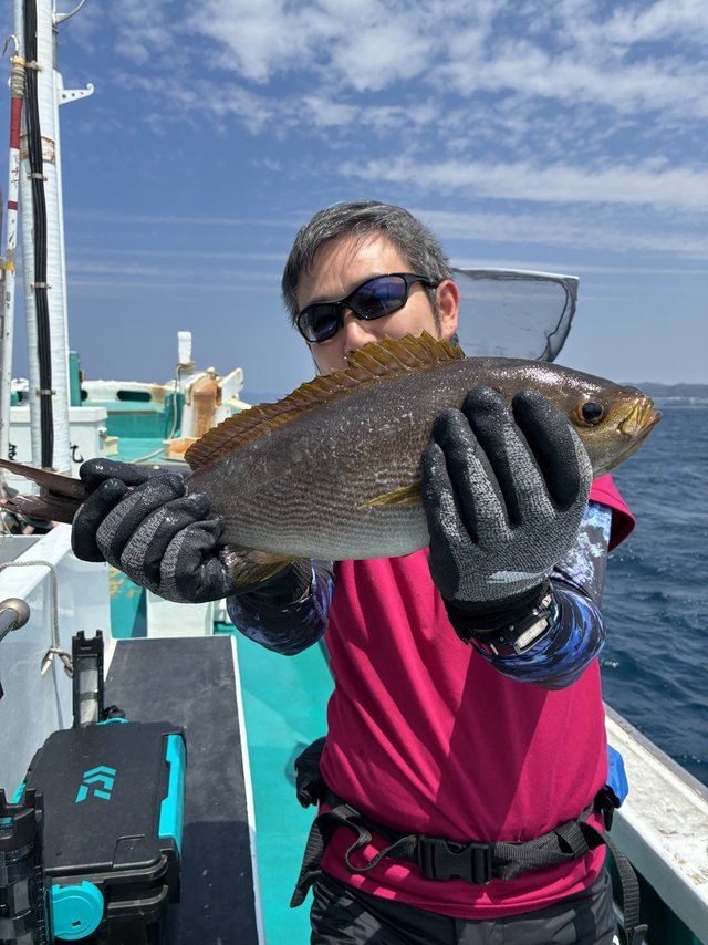 イサギ(イサキ)