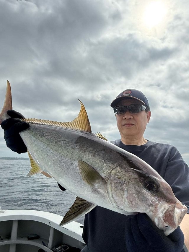 ヒレナガカンパチ