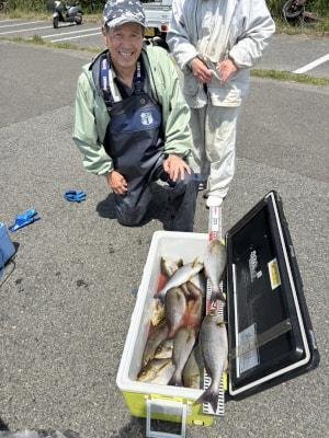 イサギ(イサキ)